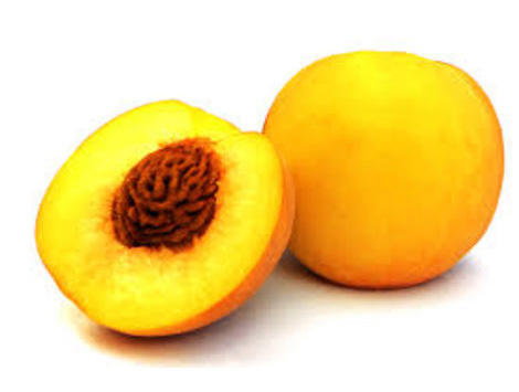 Apricot