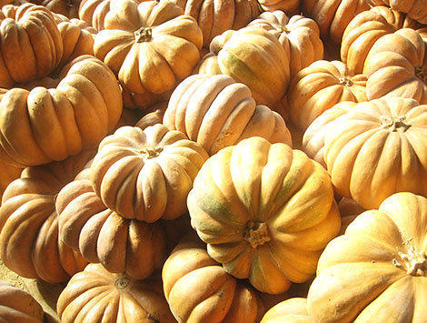 Muscade de Provence Muscade de Provence