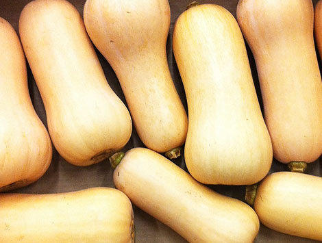 Courges Butternut