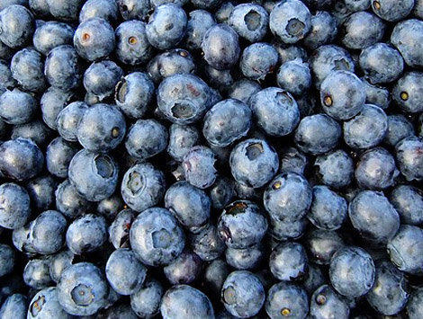 Heidelbeeren Heidelbeeren