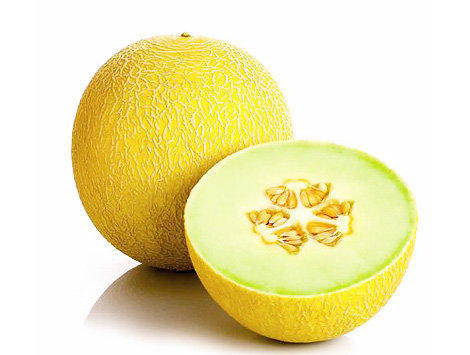 Cantaloup